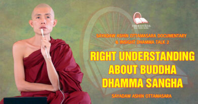 sayadaw ashin ottamasara documentary insight dhamma talk 2 80