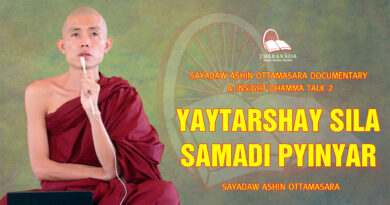 sayadaw ashin ottamasara documentary insight dhamma talk 2 94
