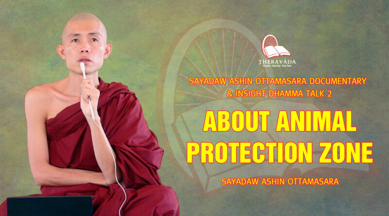 sayadaw ashin ottamasara documentary insight dhamma talk 2 97