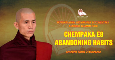 sayadaw ashin ottamasara documentary insight dhamma talk 208