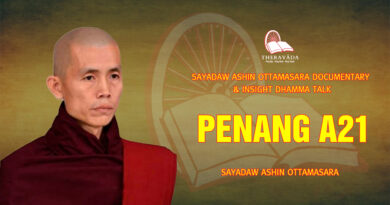 sayadaw ashin ottamasara documentary insight dhamma talk 211