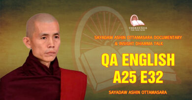 sayadaw ashin ottamasara documentary insight dhamma talk 215