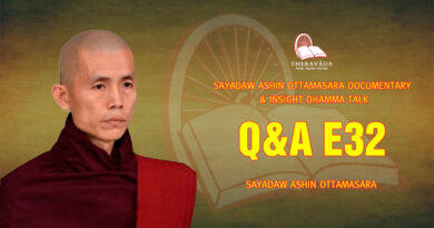 sayadaw ashin ottamasara documentary insight dhamma talk 224