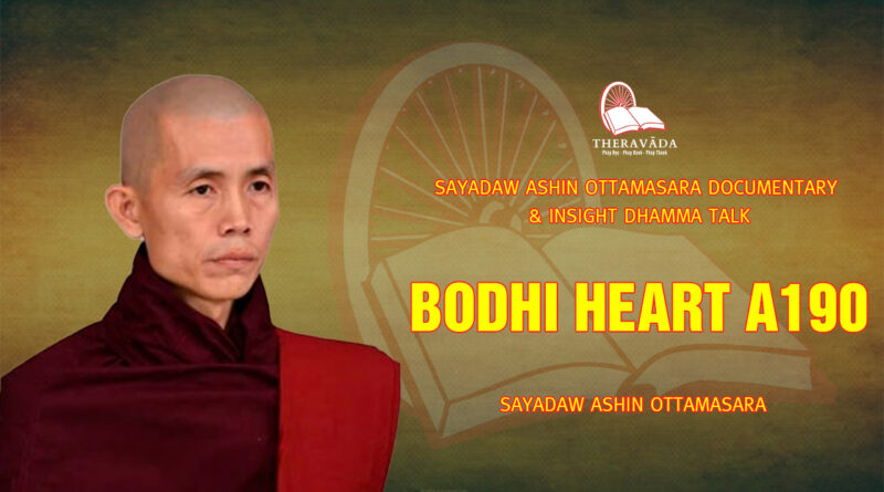 sayadaw ashin ottamasara documentary insight dhamma talk 230
