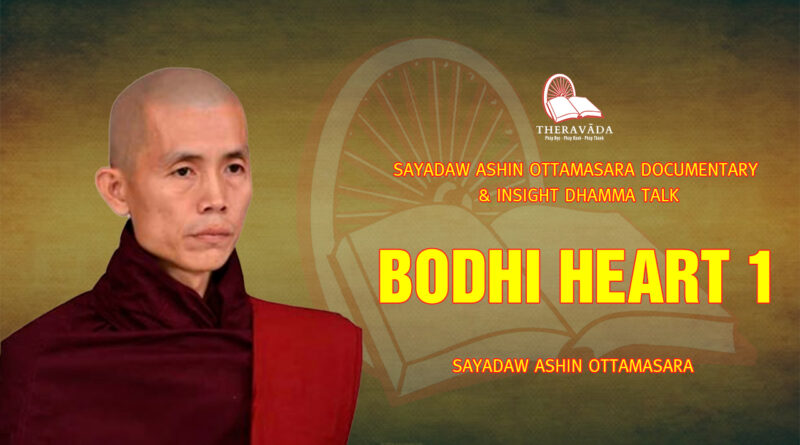sayadaw ashin ottamasara documentary insight dhamma talk 231