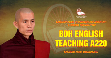 sayadaw ashin ottamasara documentary insight dhamma talk 233