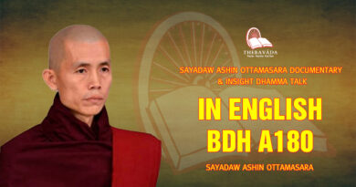 sayadaw ashin ottamasara documentary insight dhamma talk 237