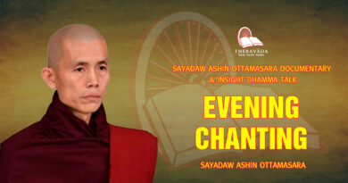sayadaw ashin ottamasara documentary insight dhamma talk 242