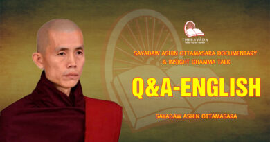 sayadaw ashin ottamasara documentary insight dhamma talk 245