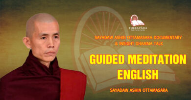 sayadaw ashin ottamasara documentary insight dhamma talk 247