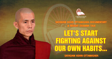 sayadaw ashin ottamasara documentary insight dhamma talk 252