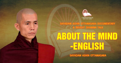 sayadaw ashin ottamasara documentary insight dhamma talk 256