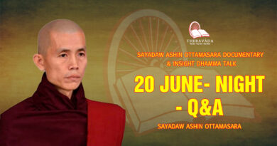 sayadaw ashin ottamasara documentary insight dhamma talk 263