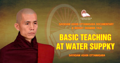 sayadaw ashin ottamasara documentary insight dhamma talk 28