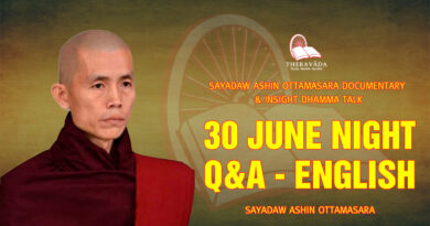 sayadaw ashin ottamasara documentary insight dhamma talk 282