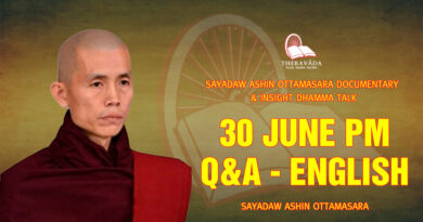sayadaw ashin ottamasara documentary insight dhamma talk 283