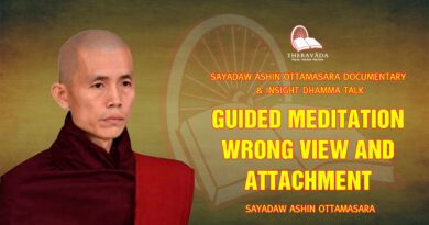 sayadaw ashin ottamasara documentary insight dhamma talk 39