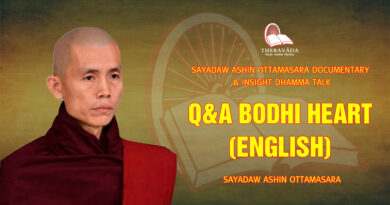 sayadaw ashin ottamasara documentary insight dhamma talk 40