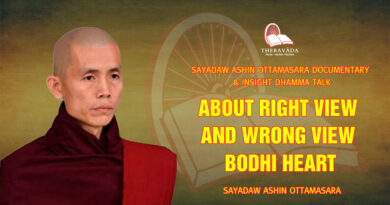 sayadaw ashin ottamasara documentary insight dhamma talk 43