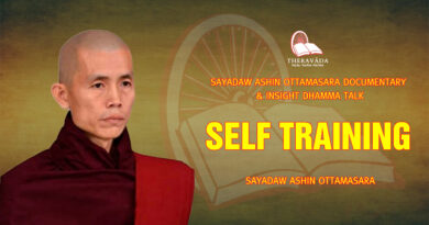 sayadaw ashin ottamasara documentary insight dhamma talk 52