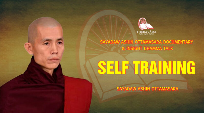 sayadaw ashin ottamasara documentary insight dhamma talk 52