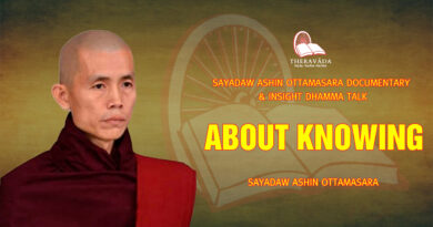 sayadaw ashin ottamasara documentary insight dhamma talk 54
