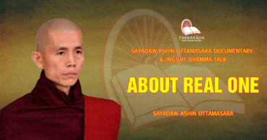 sayadaw ashin ottamasara documentary insight dhamma talk 56