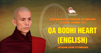 sayadaw ashin ottamasara documentary insight dhamma talk 57