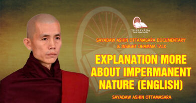 sayadaw ashin ottamasara documentary insight dhamma talk 70