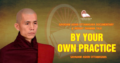sayadaw ashin ottamasara documentary insight dhamma talk 73