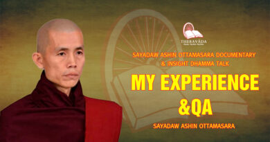 sayadaw ashin ottamasara documentary insight dhamma talk 84