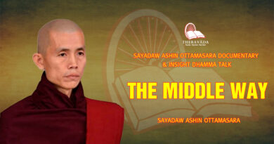 sayadaw ashin ottamasara documentary insight dhamma talk 93