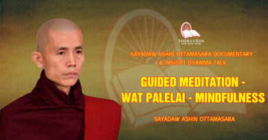 sayadaw ashin ottamasara documentary insight dhamma talk 96