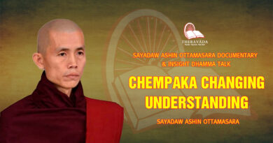 sayadaw ashin ottamasara documentary insight dhamma talk 97