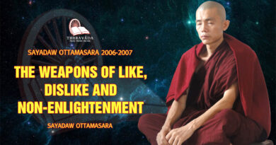 sayadaw ottamasara teaching 2006 2007 7