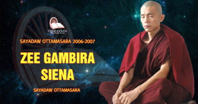 sayadaw ottamasara teaching 2006 2007 8