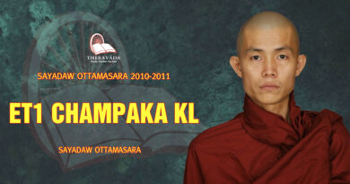 sayadaw ottamasara teaching 2010 2011 16 1