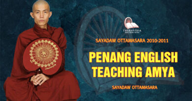 sayadaw ottamasara teaching 2010 2011 18
