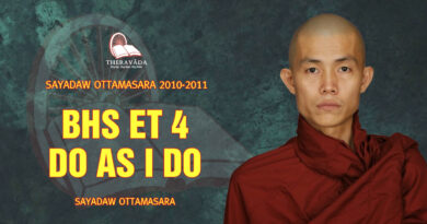 sayadaw ottamasara teaching 2010 2011 4 1