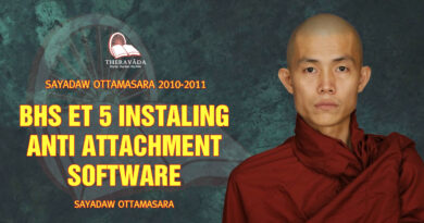 sayadaw ottamasara teaching 2010 2011 5 1