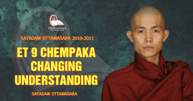 sayadaw ottamasara teaching 2010 2011 9 1