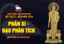 tang vi dieu phap abhidhamma bo 2 bo phan tich dai truong lao tinh su dich 15