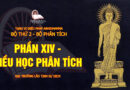 tang vi dieu phap abhidhamma bo 2 bo phan tich dai truong lao tinh su dich 19