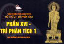 tang vi dieu phap abhidhamma bo 2 bo phan tich dai truong lao tinh su dich 21