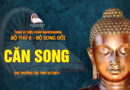 tang vi dieu phap abhidhamma bo 6 bo song doi dai truong lao tinh su dich 1