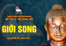 tang vi dieu phap abhidhamma bo 6 bo song doi dai truong lao tinh su dich 12