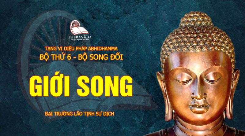 tang vi dieu phap abhidhamma bo 6 bo song doi dai truong lao tinh su dich 12