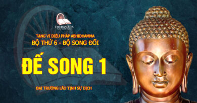 tang vi dieu phap abhidhamma bo 6 bo song doi dai truong lao tinh su dich 13