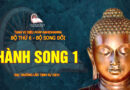 tang vi dieu phap abhidhamma bo 6 bo song doi dai truong lao tinh su dich 15