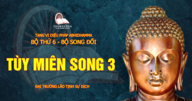tang vi dieu phap abhidhamma bo 6 bo song doi dai truong lao tinh su dich 19
